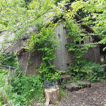 Cabane D'Augustin Saint-Augustin (Seine-et-Marne) Exterior foto